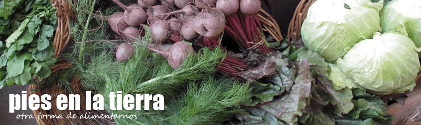 image-article-clararecipe-header